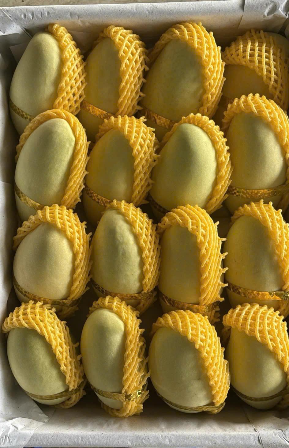 Top 7 verified Mango suppliers in Vietnam for global buyers - 5